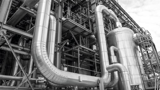 Monitoring Influent Toxicity to Mitigate Risk and Optimize Treatment