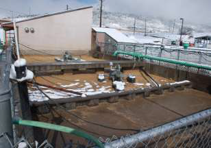 Too Small For a Sludge Age Controller?