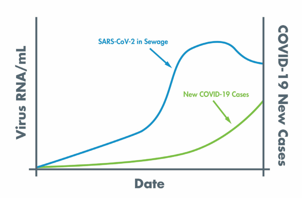 Line chart showing increase in SARS-CoV-2 in Sewage correlates with an uptick in New COVID-19 cases.