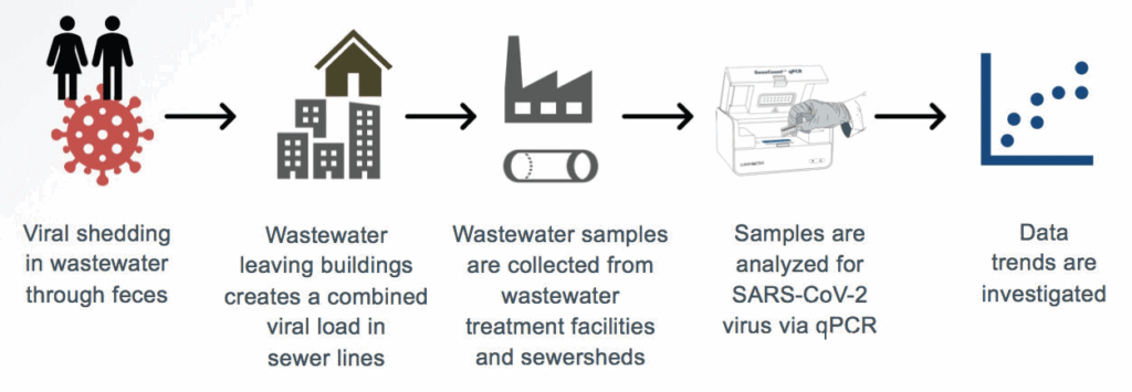 viral shedding in wastewater through feces, wastewater leaving buildings creates a combined viral load in sewer lines, Wastewater samples are collected from wastewater treatment facilities and sewersheds, Samples are analyzed for SARS-CoV-2 virus via qPCR, Data trends are investigated.