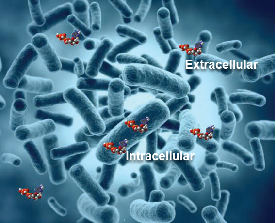 Reliable Monitoring of Adenosine Triphosphate (ATP) in Water Reuse and Reverse Osmosis Treatment