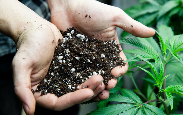 Soil Analysis Application Package for Cannabis