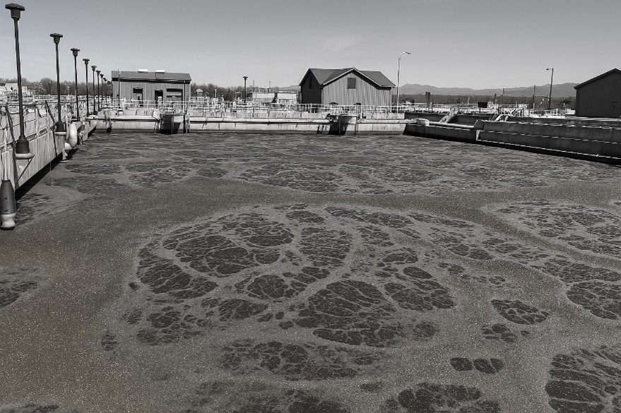 Breaking Down Phosphorus Removal in Wastewater Treatment